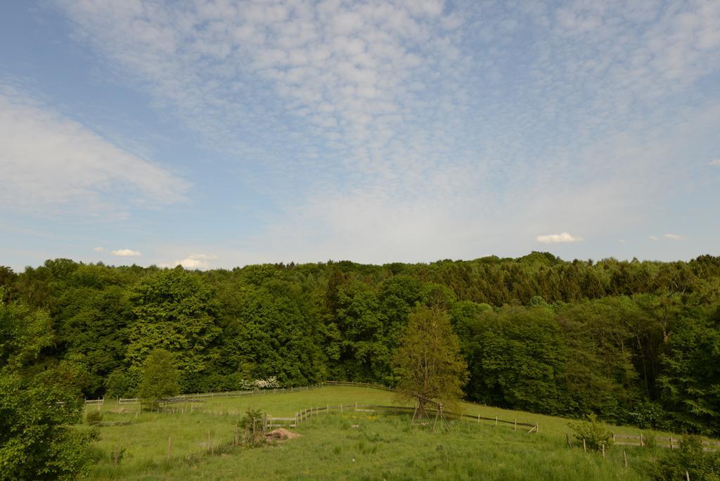 Quiet Nature Near Cologne 1 Bergisch Gladbach Dış mekan fotoğraf